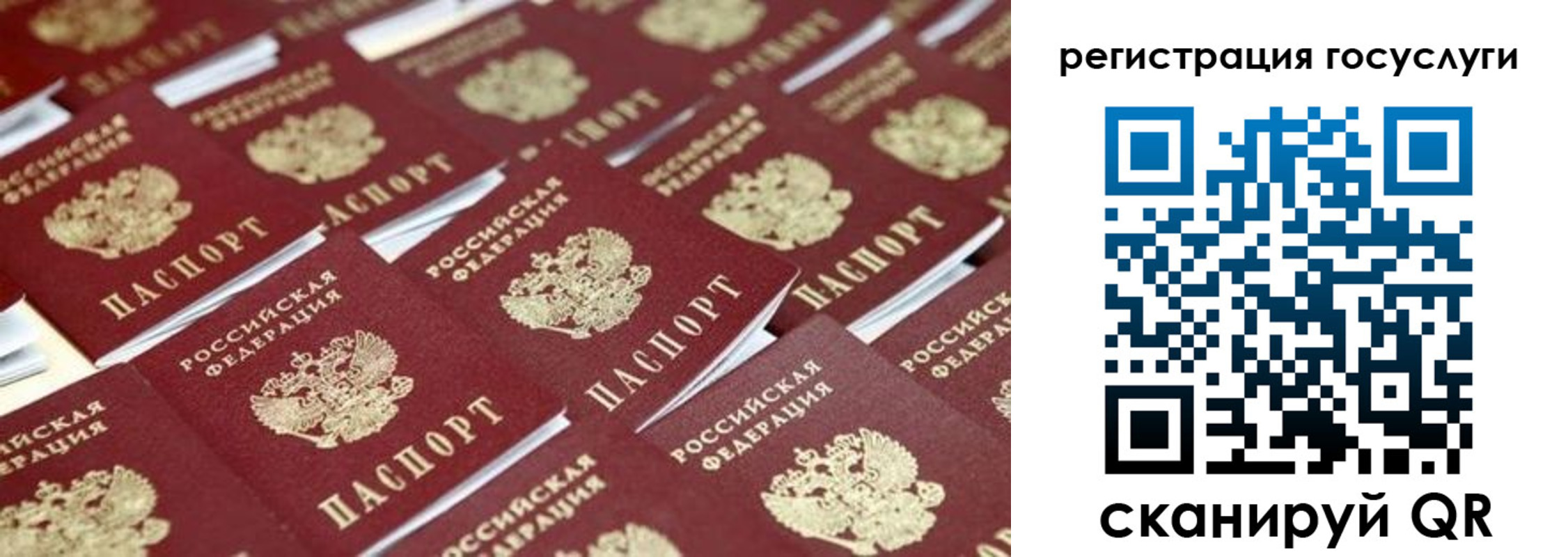 прописка ребенка в Тайге