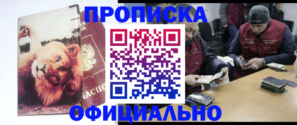 прописка в квартире в Тайге